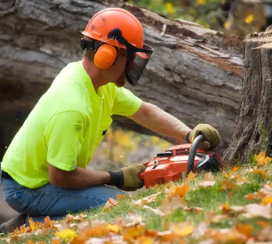 tree services Donaldsonville